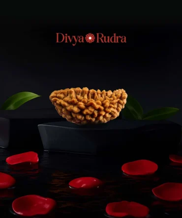 1 Mukhi Rudraksha – Original ek Mukhi Bead India