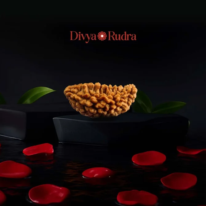 1 Mukhi Rudraksha – Original ek Mukhi Bead India