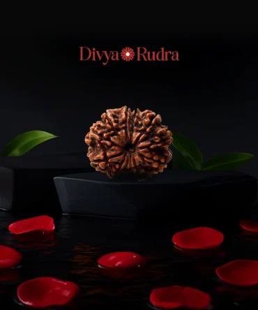 10 Mukhi Rudraksha (Nepali Origin) – Original & Certified