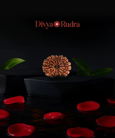 12 Mukhi Nepali Rudraksha Original Certified बारह मुखी रुद्राक्ष Brown Beads 12 Face Rudraksh 12 मुखी रुद्राक्ष Barah Mukhe Rudrakshaa Pendent For Men Women Natural Twelve Face Rudraksha Blessing Lord Vishnu.