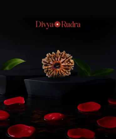 13 Mukhi Faced Nepali Rudraksha Rudraksha | Natural & Certified | Astrological Benefits | Positive Energy | Unisex for Men & Women