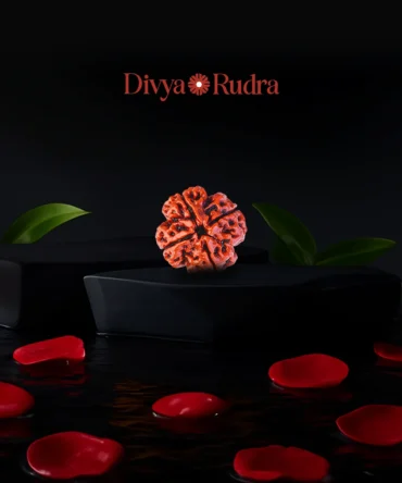 4 Mukhi Rudraksha Buy Online – Nepal Beads
