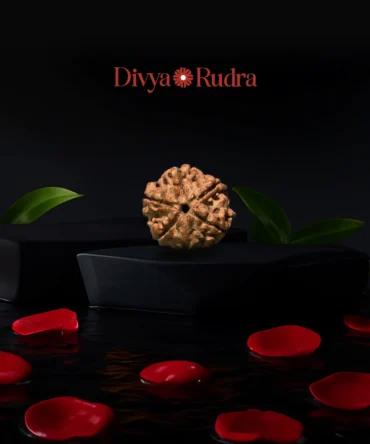 Original Rudraksha Beads 5 Mukhi Certified Nepal
