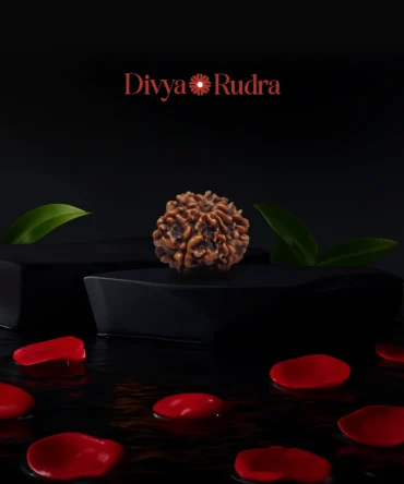 7 Mukhi Rudraksha (Nepali Origin) – Natural & Certified
