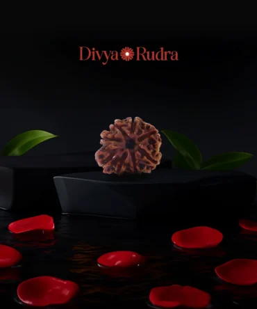 8 Mukhi Rudraksha (Nepali Origin) – Natural & Certified