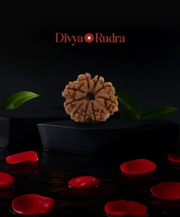 9 Mukhi Rudraksha (Nepali Origin) – Natural & Certified